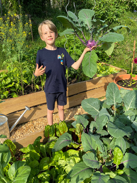 Raised Bed Gardening