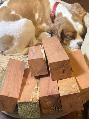 Eastern Red Cedar turning blanks