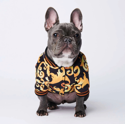 versace dog raincoat