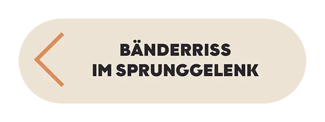 Krankheitsbild Bänderriss im Sprunggelenk