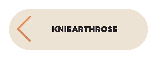 Krankheitsbild Kniearthrose