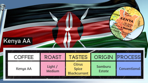 Kenyan Freshly Roasted Coffee Profile