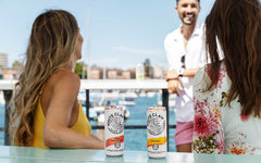 White Claw Hard Seltzer - FLAVA Hard Seltzer