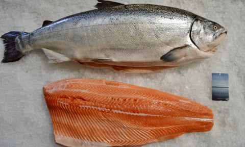 Sashimi Quality – Truefish