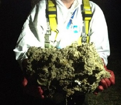 fatberg