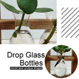 Glass Vase Hydroponics Plant Pot Wooden Stand