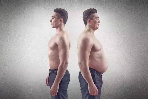 double image man one skinny inshape one fat