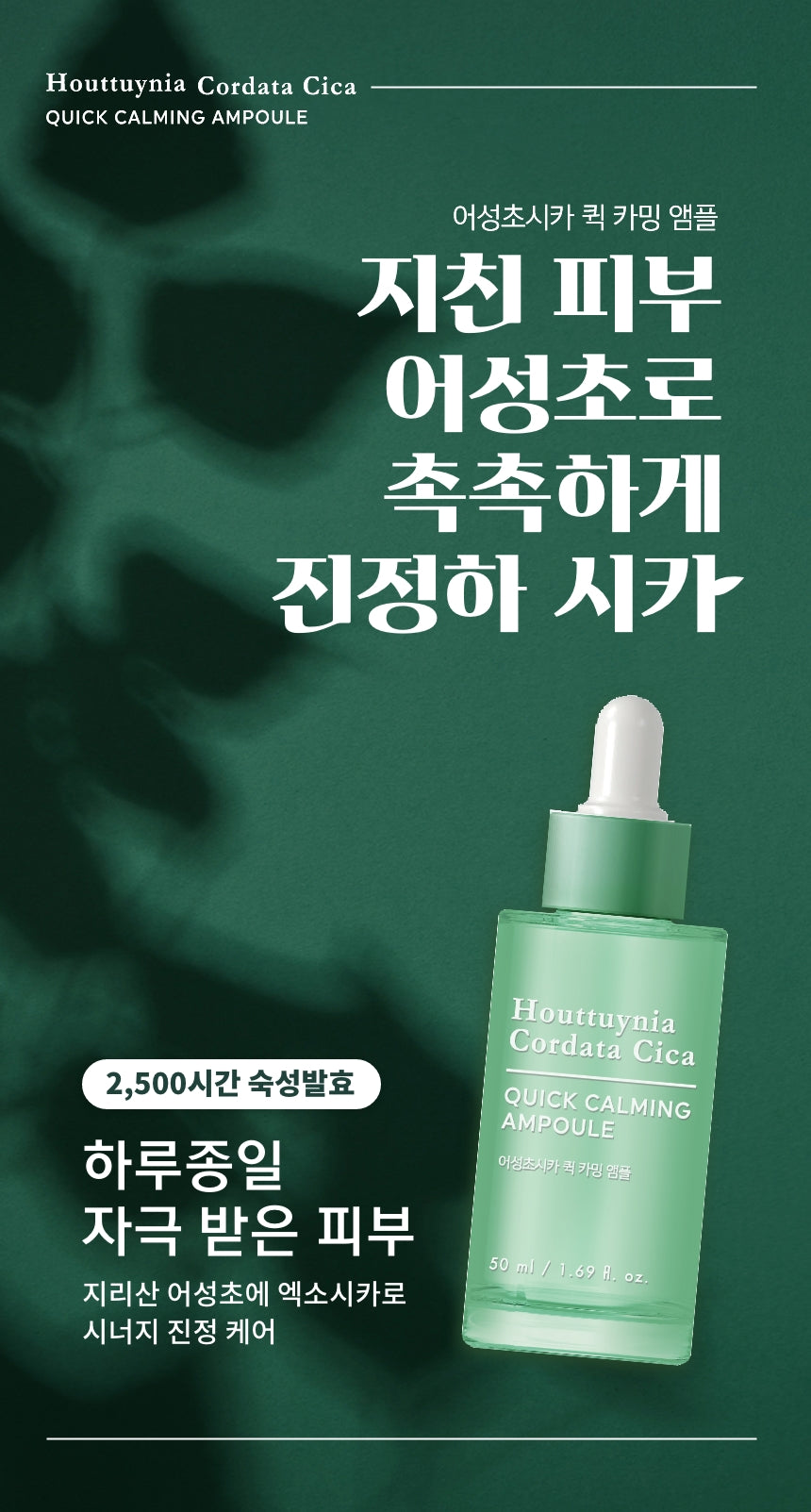 Tonymoly_Houttuynia Cordata Cica Quick Calming Ampoule 50ml_1