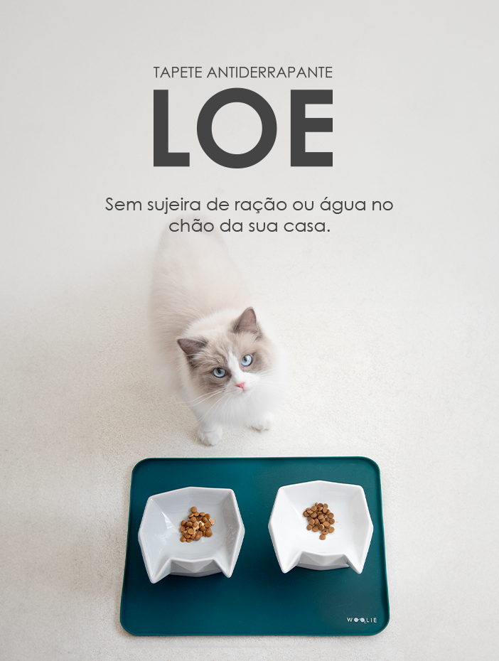 SHOWERORO Jogo Americano De Silicone Alimentando Jogo Americano De Nuvem  Tapete De Alimentação Para Tigelas De Gato Tapete De Comida De Animal  Alimentar Gel De Sílica Tigela Grande Bebê : : Casa