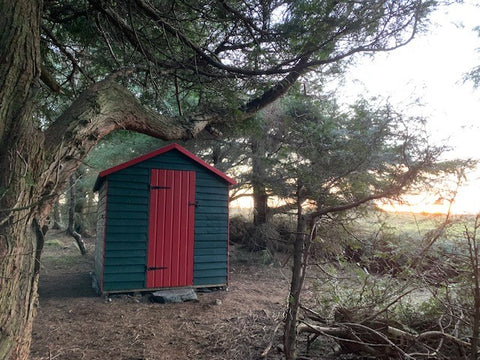 Stylish woodland  compost toilet 