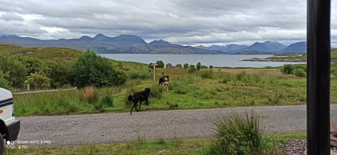 view from the compost toilet 