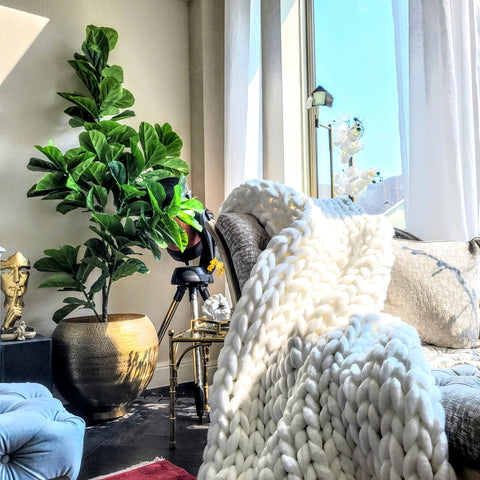 large tall fiddle leaf tree in living room