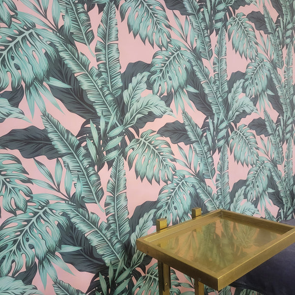 Large Green Tropical Monstera on Pink Wallpaper