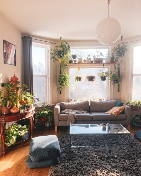 black fur rug in living room with plants boho