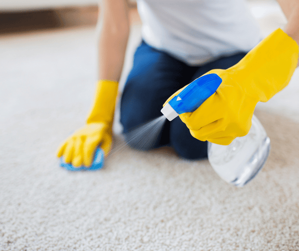 cleaning rug with water and vinegar solution