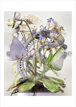 Load image into Gallery viewer, A3 Poster — Still Life 01
