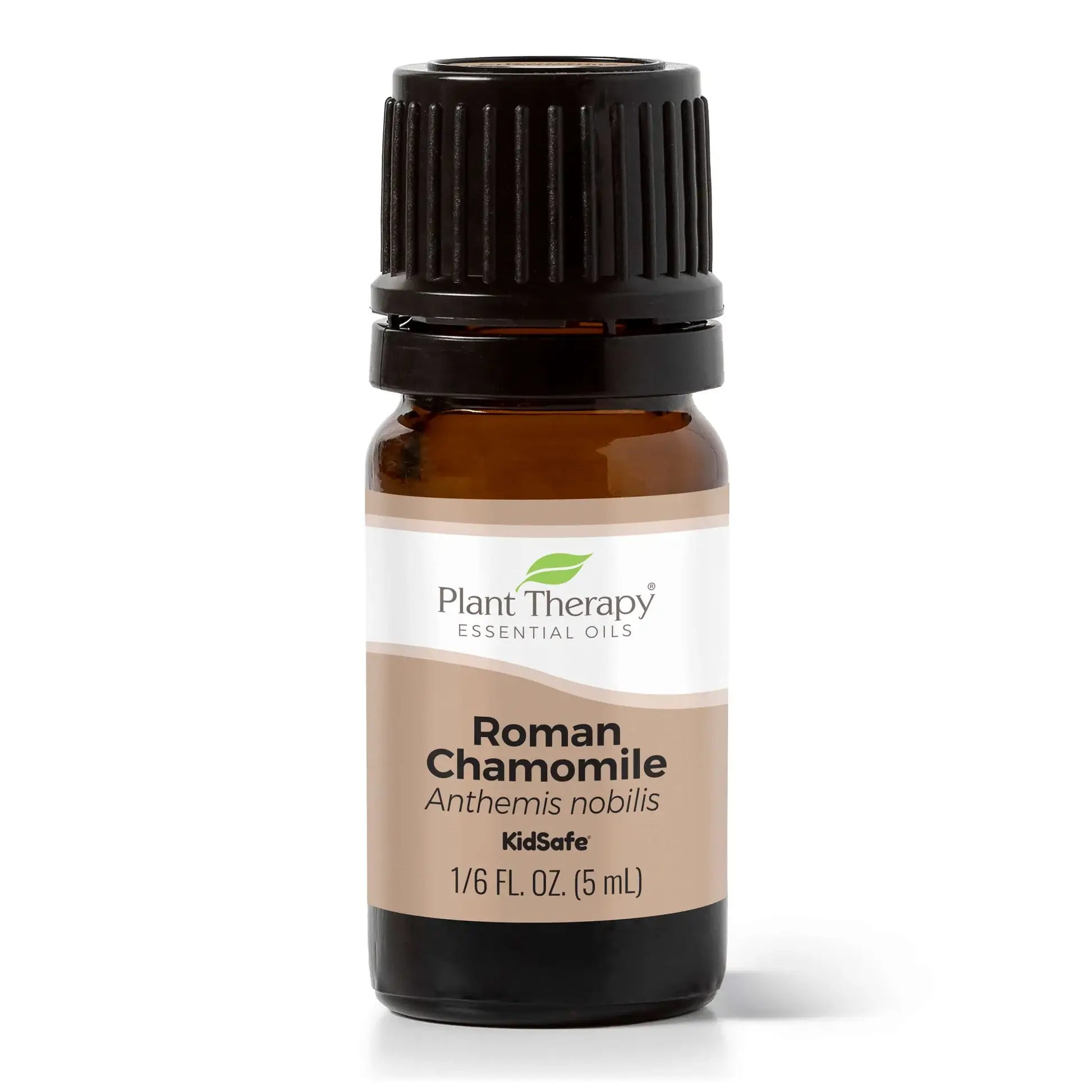 Roman Chamomile Essential Oil 5 mL | Plant Therapy