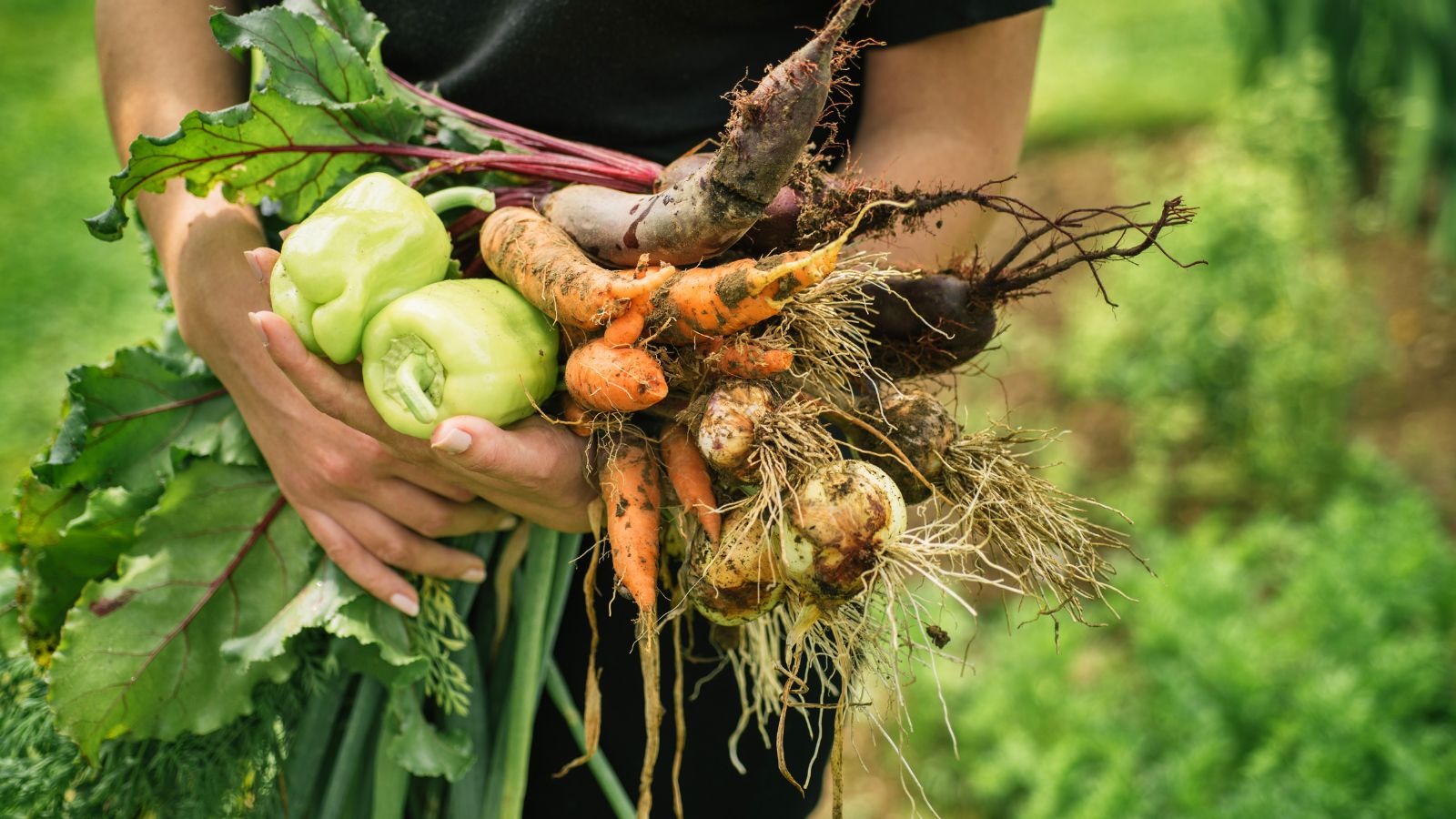 Organic farming