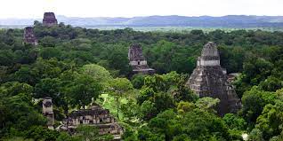 Ruinas Tikal