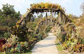 Jardín Botánico, zona 5