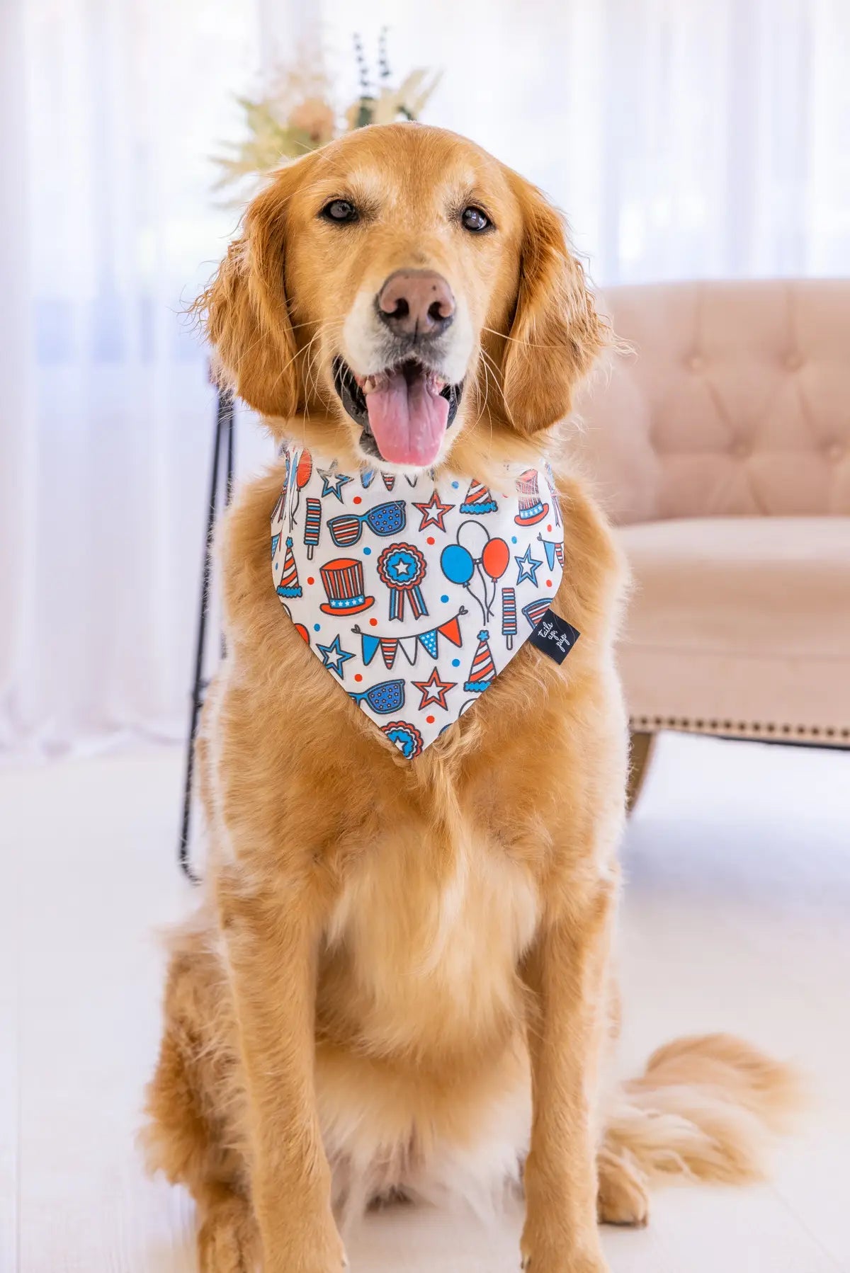 Festive Fourth of July Bandana