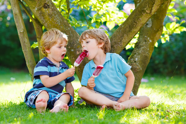 homemade ice pops