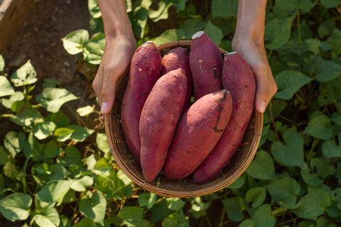 Sweet Potatoes