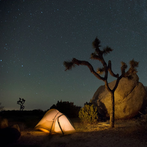 joshua tree cottonwood campground at night