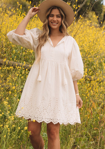 Summer Lovin Embroidered Mini Dress