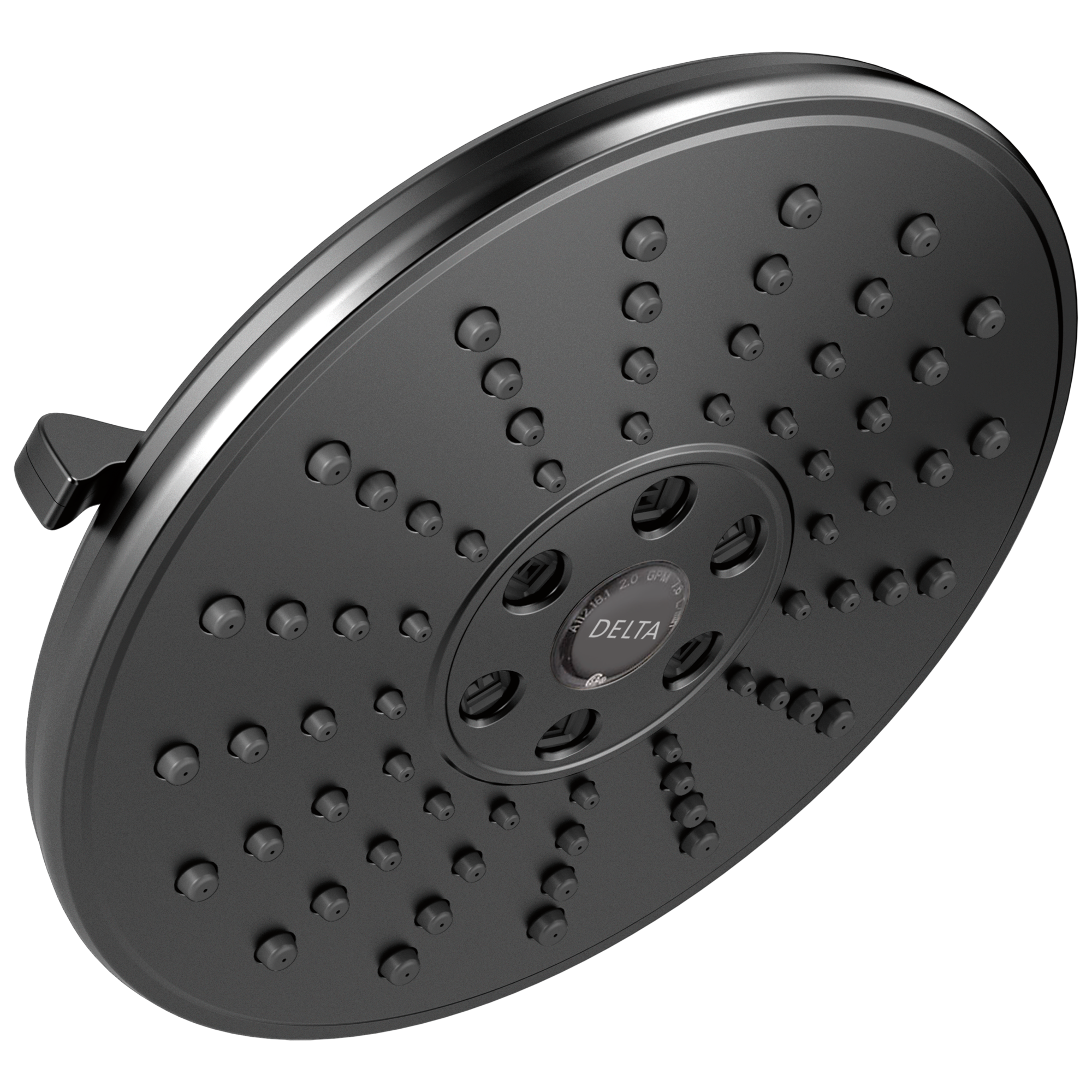 Delta 52688-BL Shower Head