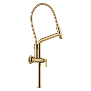 Brizo Brizo Universal Showering: 10 7/16" Classic Slide Bar Shower Arm And Flange