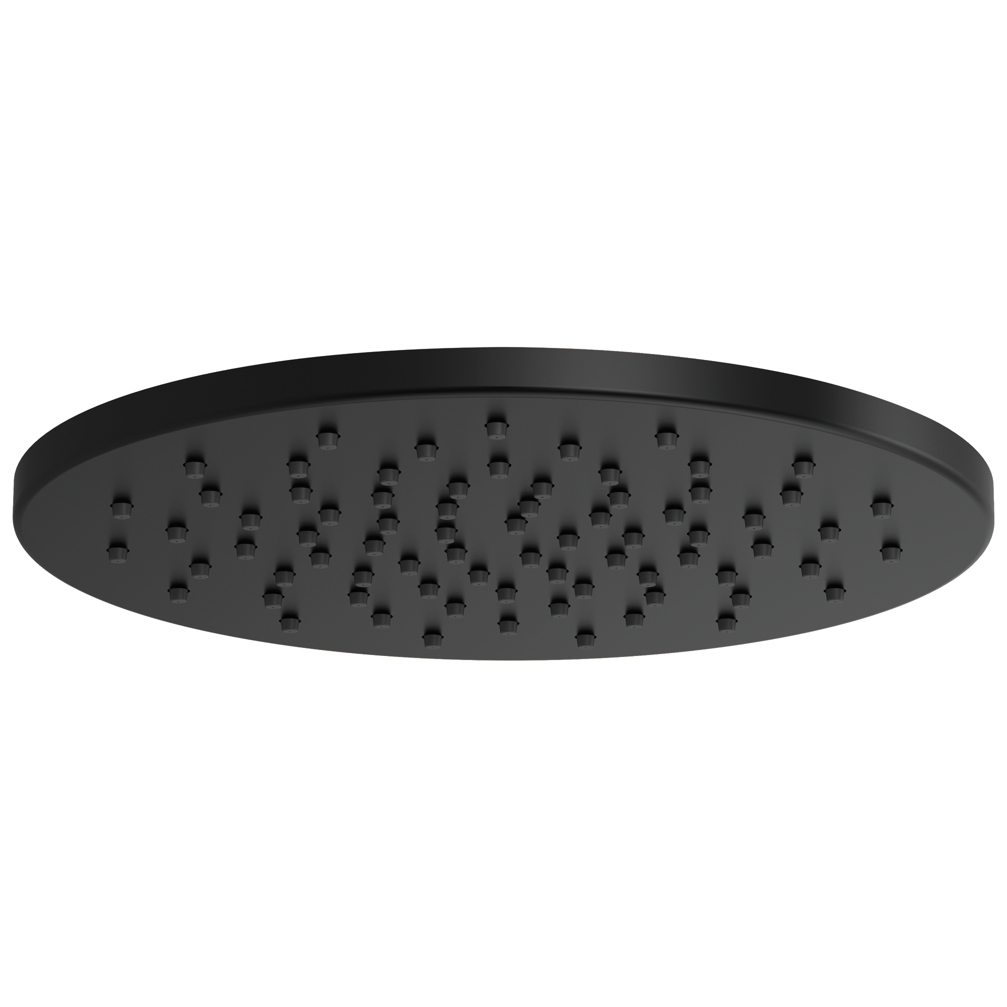 Delta 81392-BL Shower Head