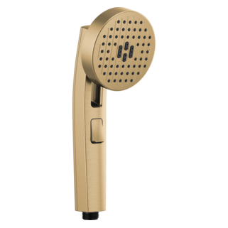 Delta 88006-GL Handshower