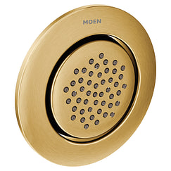 Moen TS1322 Body Spray