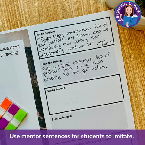 mentor sentence examples on a handout