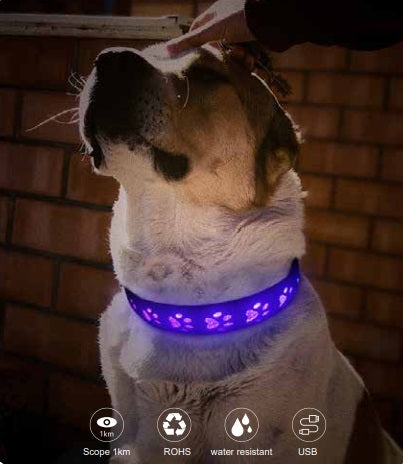 rgb dog collar