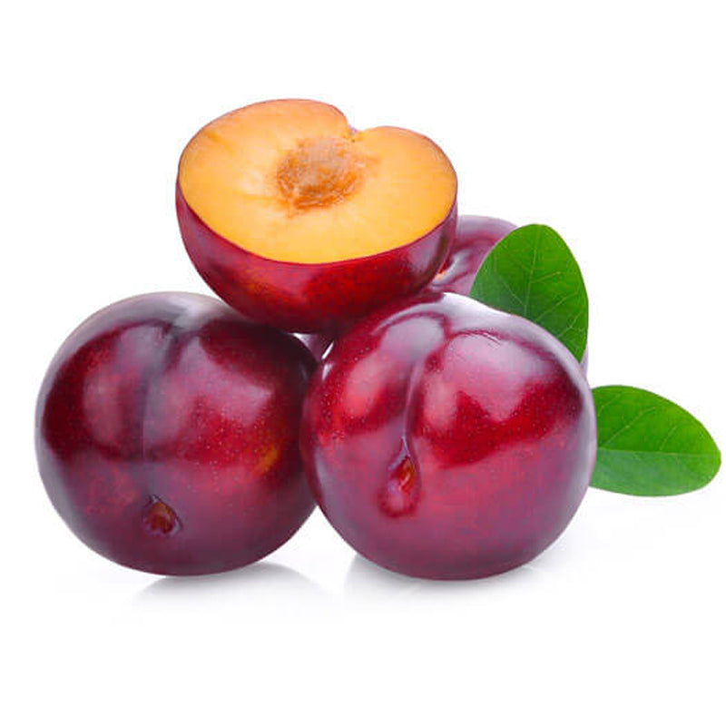 Plum