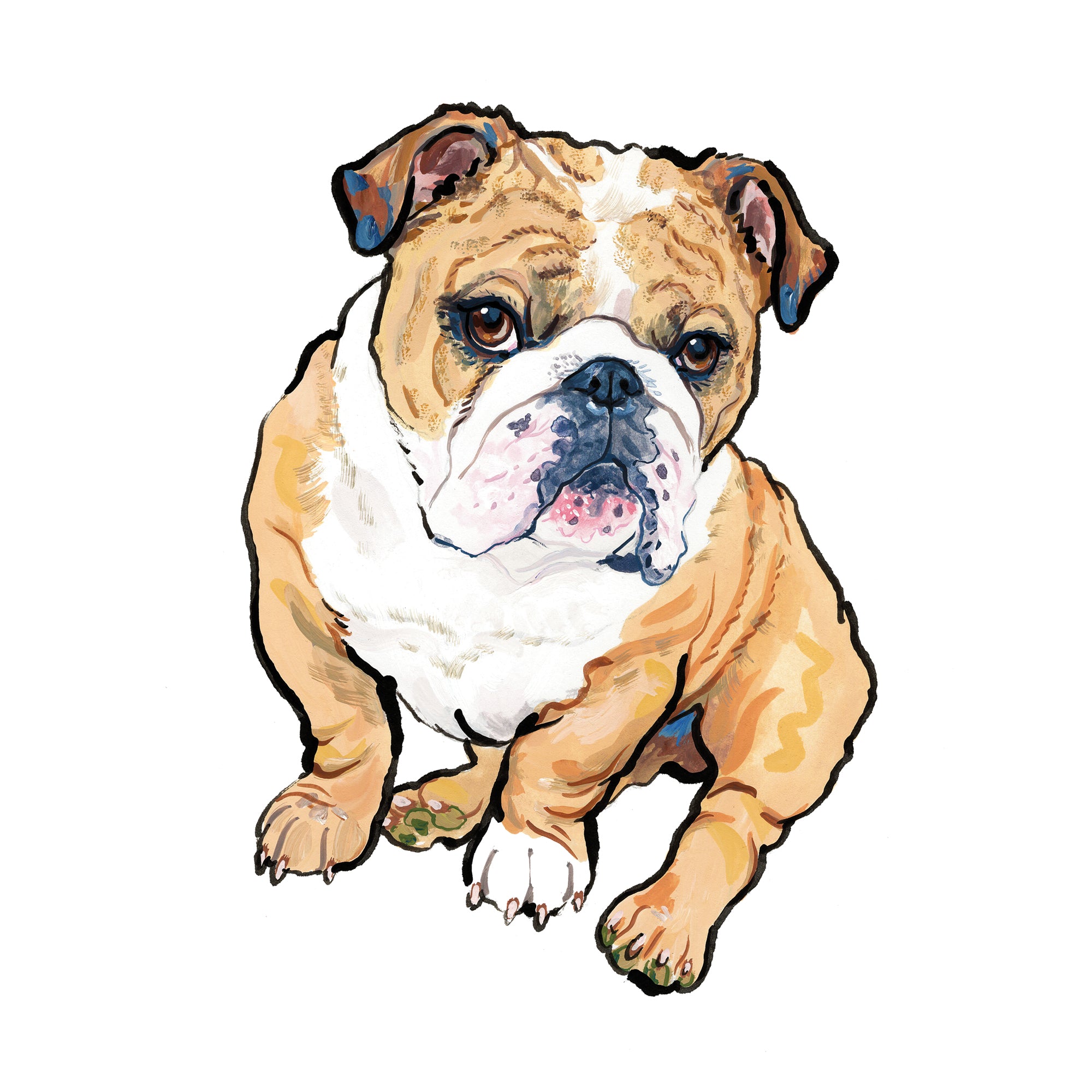 How to Draw a Bulldog Step by Step Pets Animals FREE Online Drawing  Tutorial Added by Dawn January 7 2008 4  Bulldog drawing Bulldog  art Animal drawings