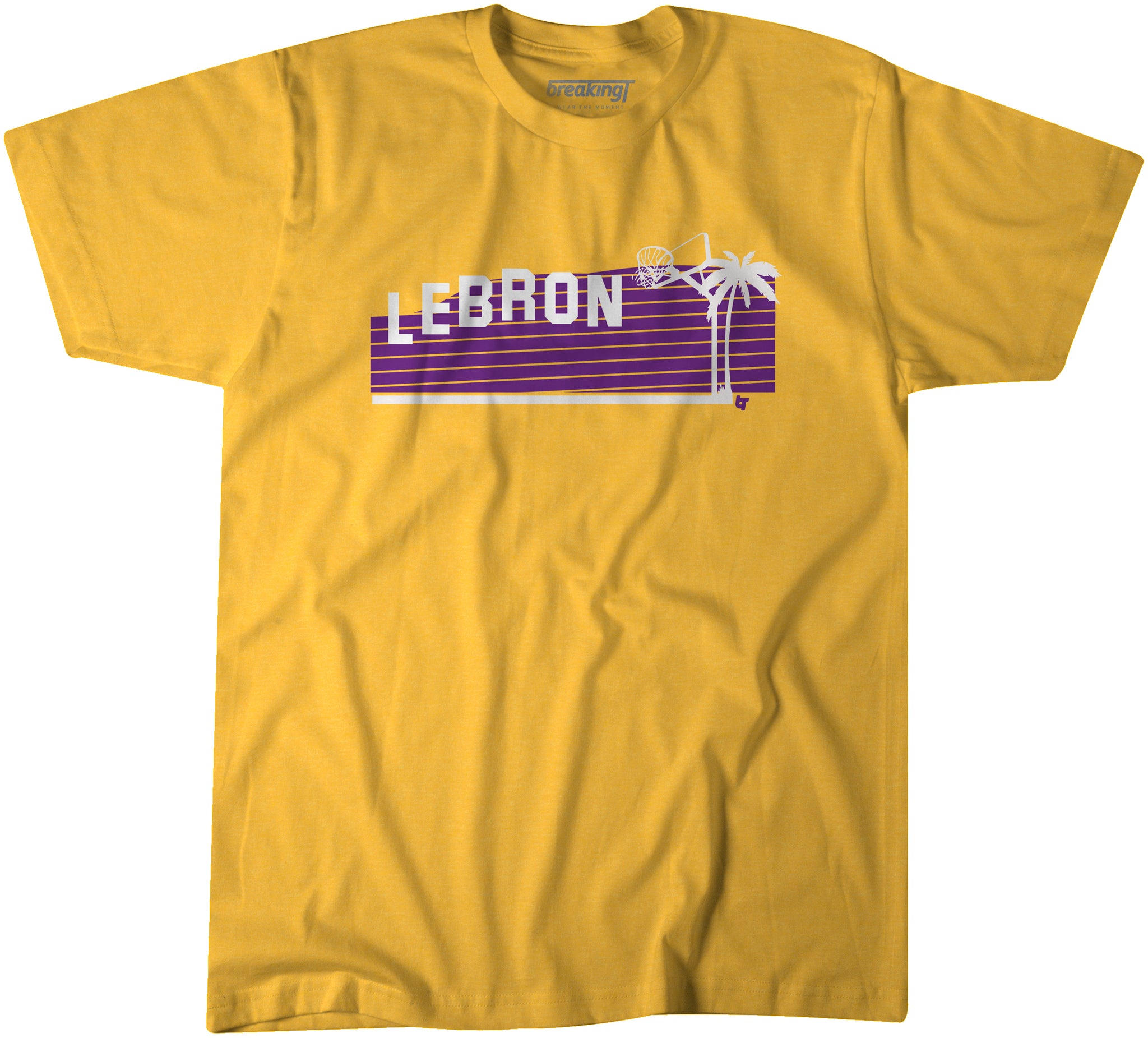 lebron logo t shirt