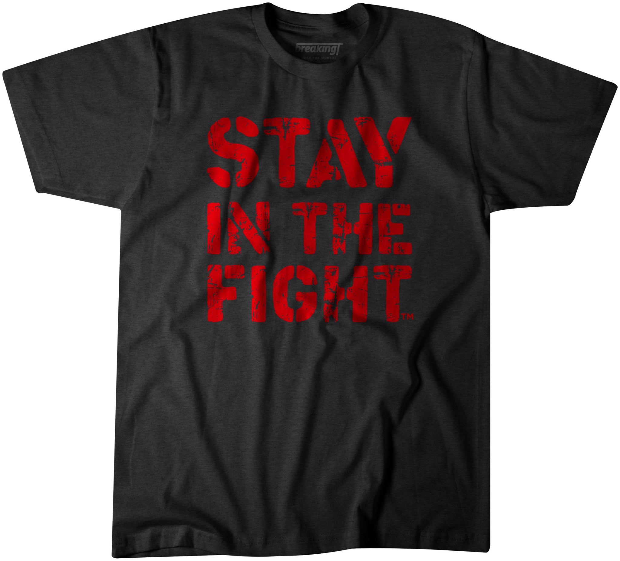 stay in the fight t shirt nationals