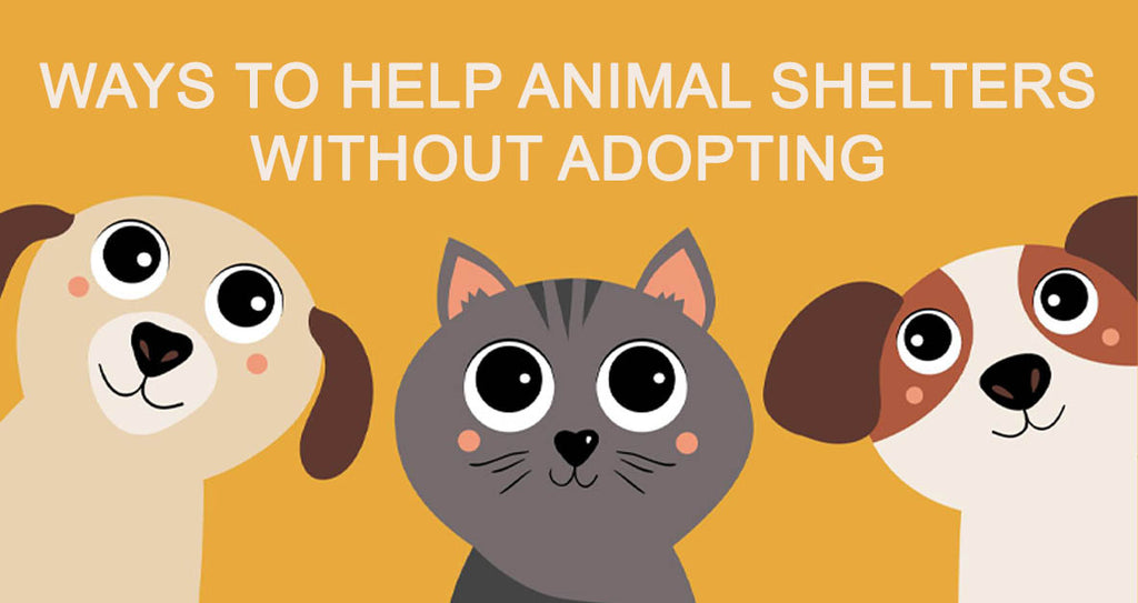 WAYS THE HELP ANIMAL SHELTERS WITHOUT ADOPTING