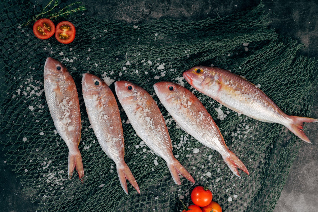Fish contains lots of iodine for your thyroid