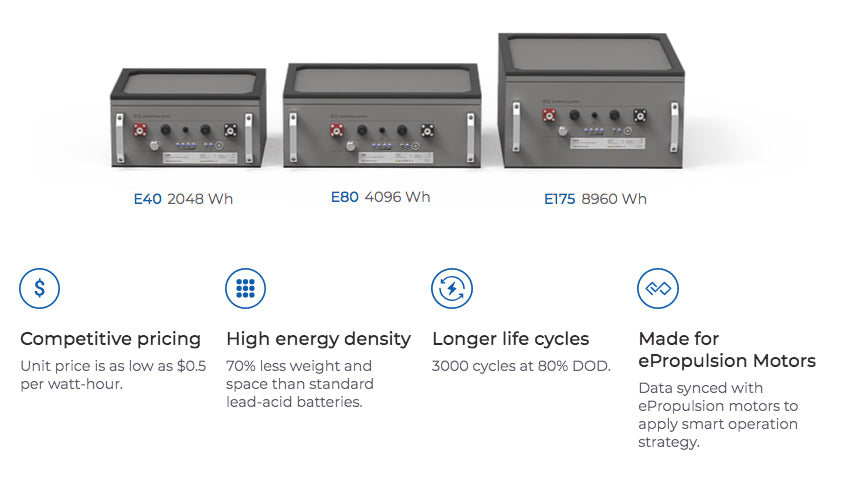 Electric outboard battery system