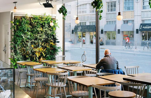 Commercial living wall bringing life to a small cafe