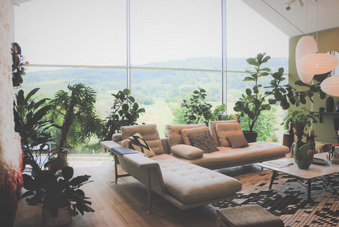 Designed with intention; biophilic designed living space