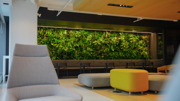 Biofilter living wall 