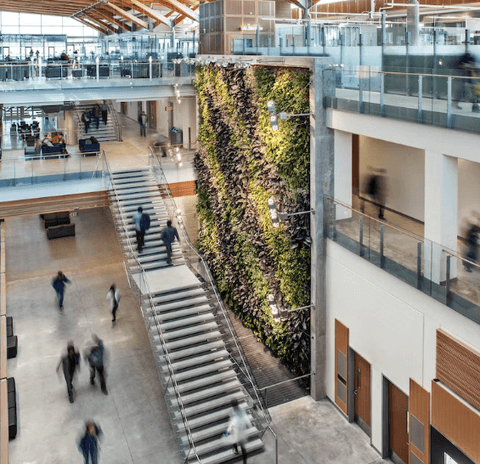Living wall biofilter in large office space
