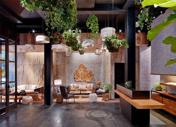 Nature-inspired space with wood accents and hanging plants