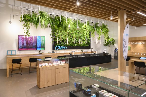 Choom Cannabis Living Wall in Niagara store front