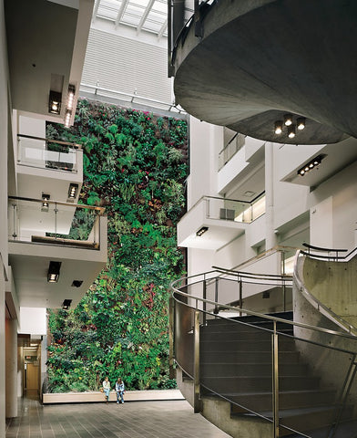 Four-story living wall at the University of Guelph (Humber)